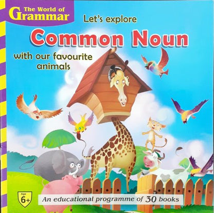 The World Of Grammar Let's Explore Common Noun