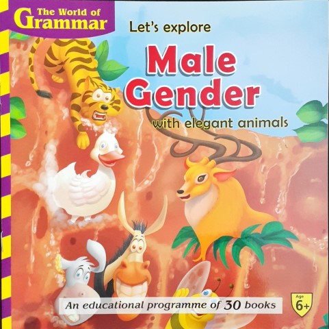 The World Of Grammar Let's Explore Male Gender