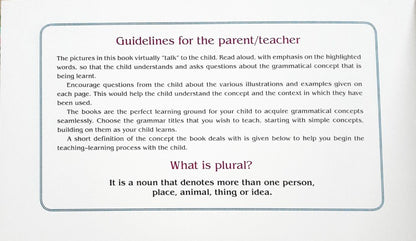 The World Of Grammar Let's Explore Plural