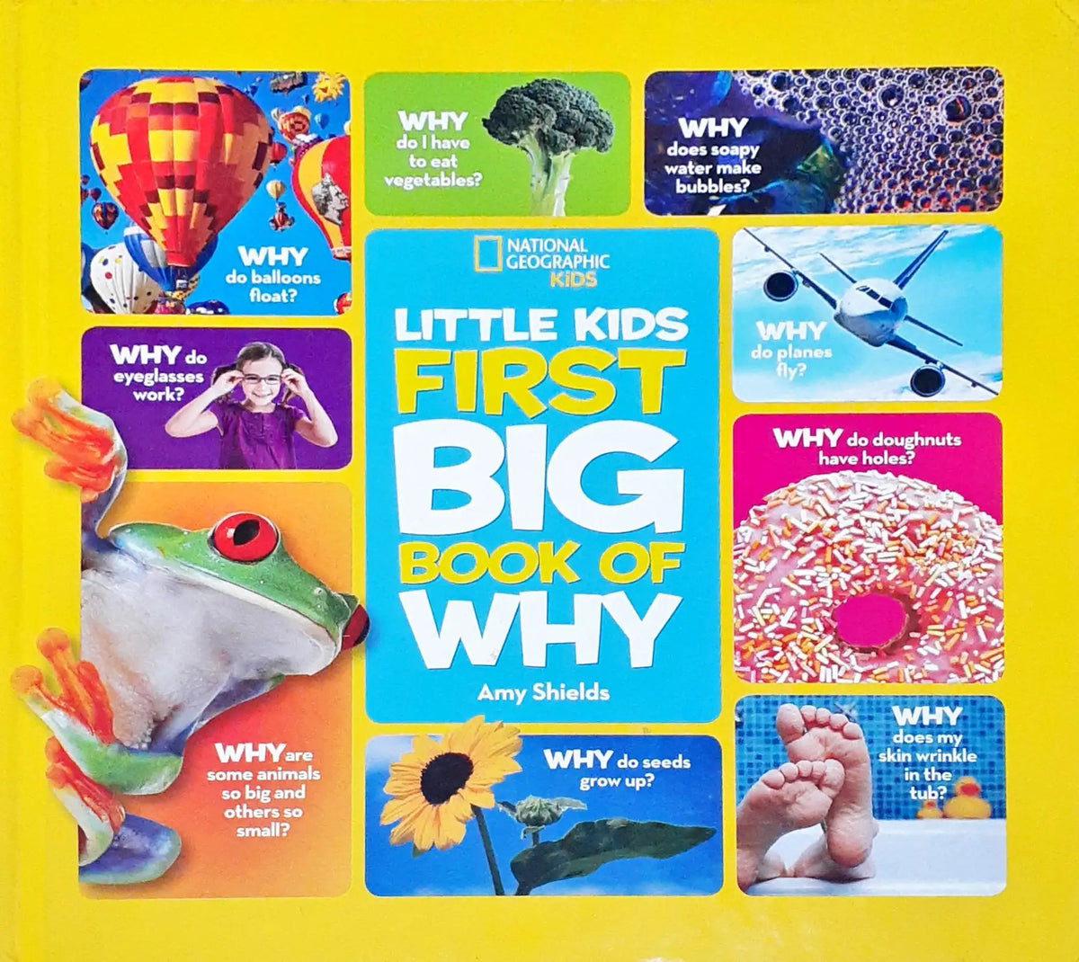 Why Activity Book National Geographic Kids Little Kids First Big Book Of Why (HC) (P ...