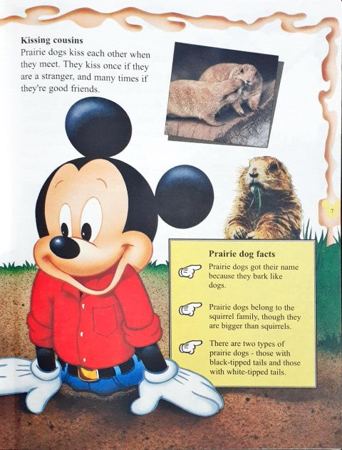 Disney Mickey Wonders Why - Animal Homes And Habitats