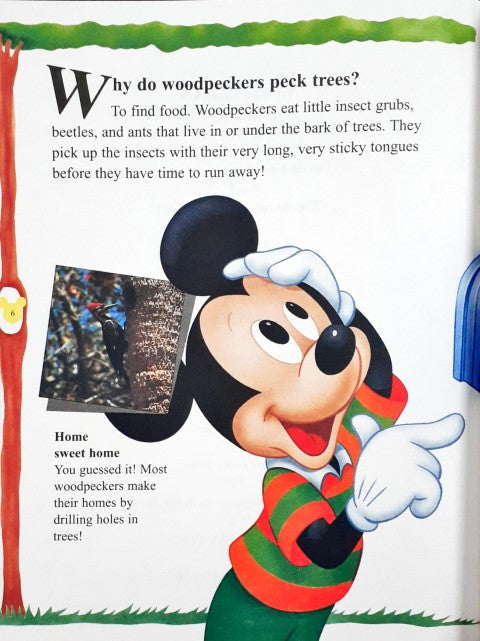 Disney Mickey Wonders Why - Animal Life