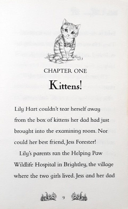 Magic Animal Friends #4 Bella Tabbypaw In Trouble