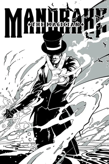 Mandrake The Magician Collection 1 (#1-#10 Box Set)
