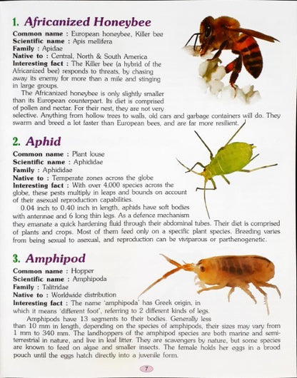 221 Amazing Bugs And Insects Encyclopedia