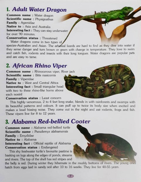 221 Amphibians and Reptiles Encyclopedia