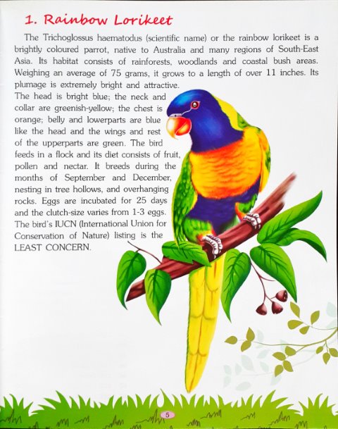 221 Exotic Birds Encyclopedia