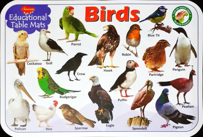 Birds - Educational Table Mats (Wipe & Clean Double Sided)