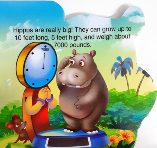 Who am I : Hippo