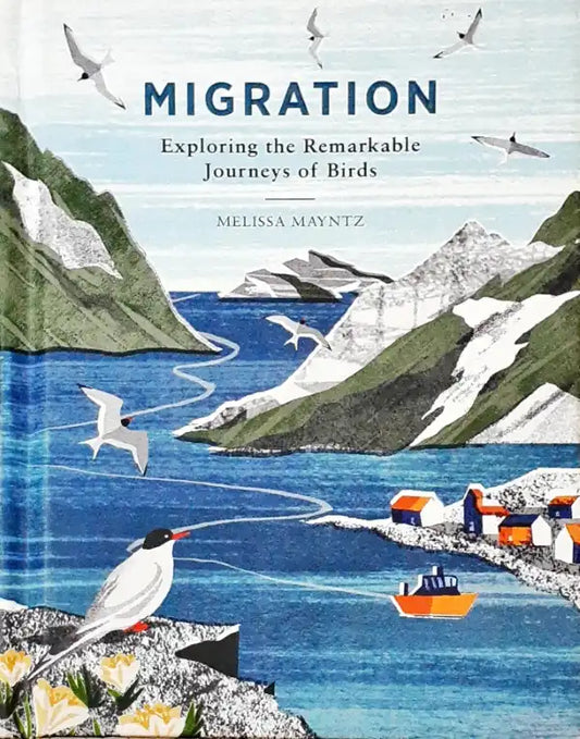 Migration: Exploring the Remarkable Journeys of Birds