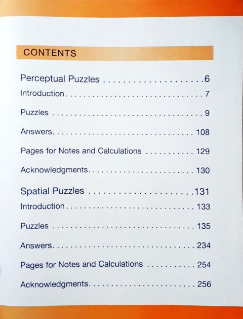 Mindworks Brain Training Right Brain Puzzles