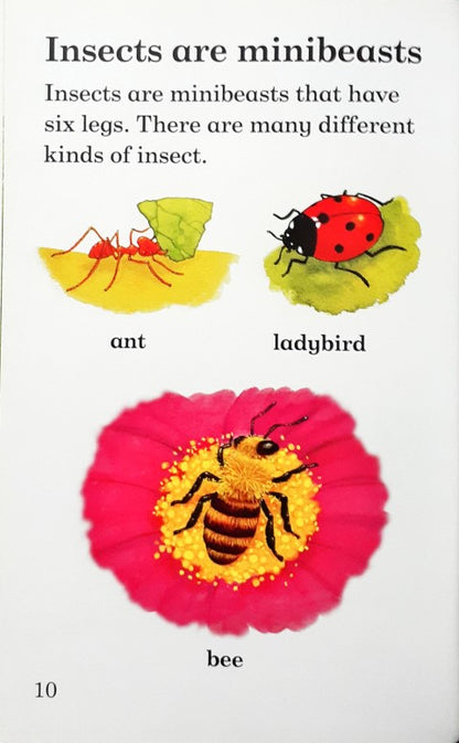 Read It Yourself With Ladybird Level 3 Minibeasts
