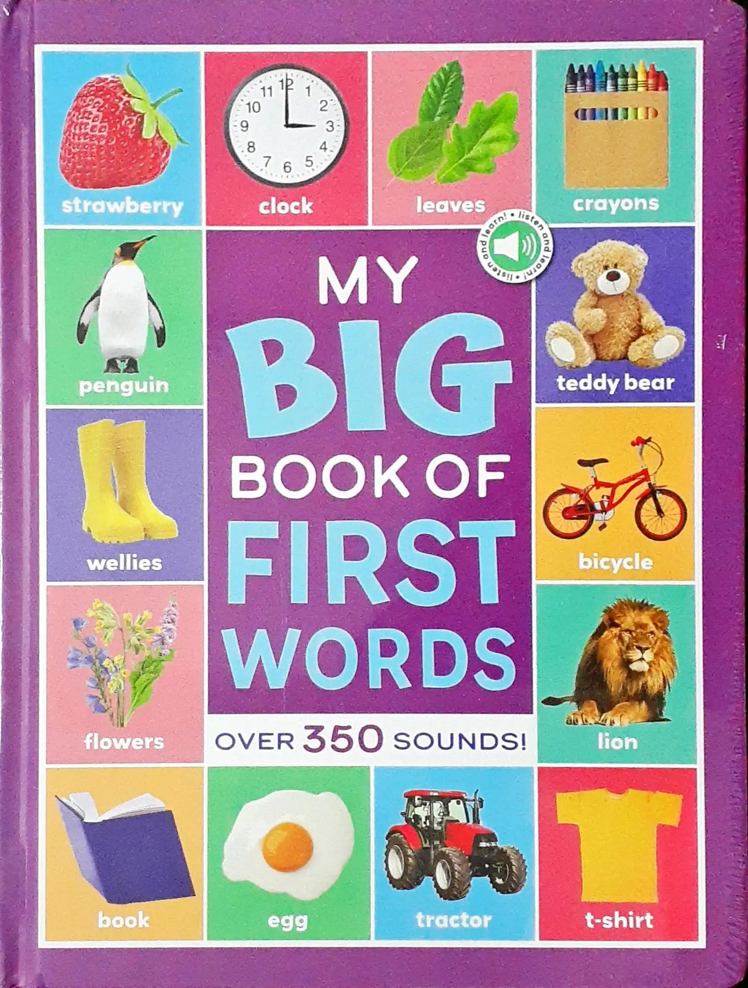 My Big Book of First Words with USB Port: Over 350 Sounds – Books and You
