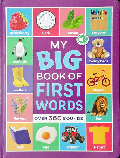 My Big Book of First Words with USB Port: Over 350 Sounds