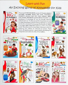 My First Big Book of Picture Dictionary