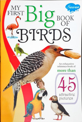 My First Big Book of Birds