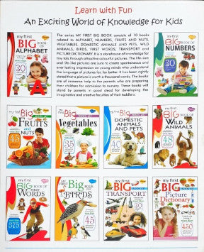 My First Big Book of Fruits & Nuts