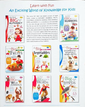 My First Big Book of Wild Animals – Books and You