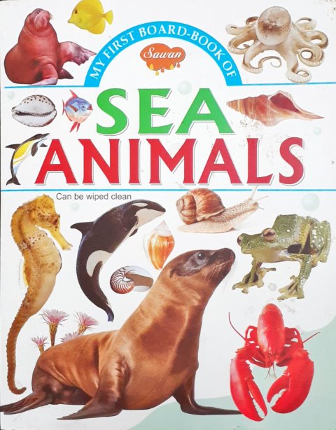 My First Board Book of Sea Animals - Wipe & Clean