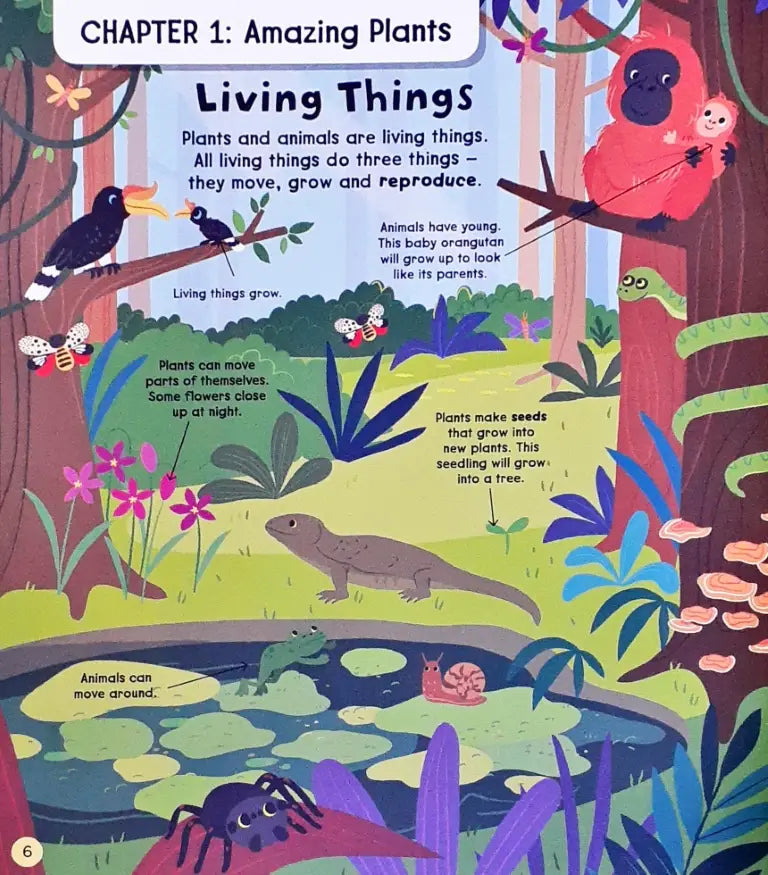 My First Science Book – Books and You
