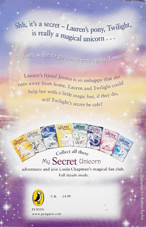 My Secret Unicorn Flying High