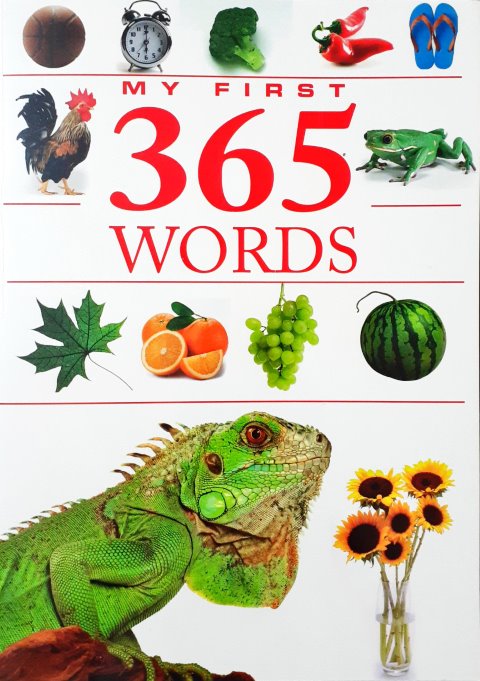 First 35 Words My First 365 Words – Books and You