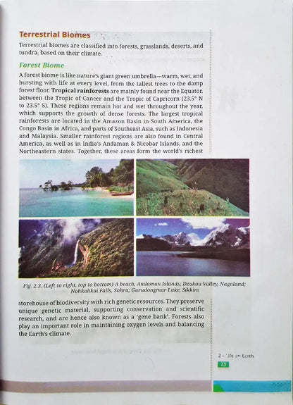 NCERT New Edition Social Studies Grade 9 : Understanding Society - India and Beyond - Part 2