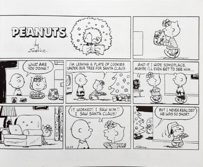 Peanuts Comic Collection I Get The Hint