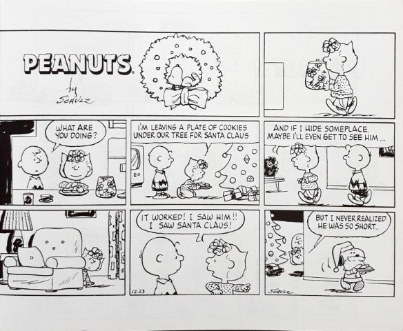 Peanuts Comic Collection I Get The Hint – Books and You