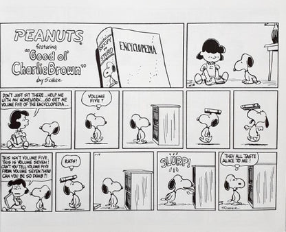 Peanuts Comic Collection I Need To Set My Face Toward New Horizons