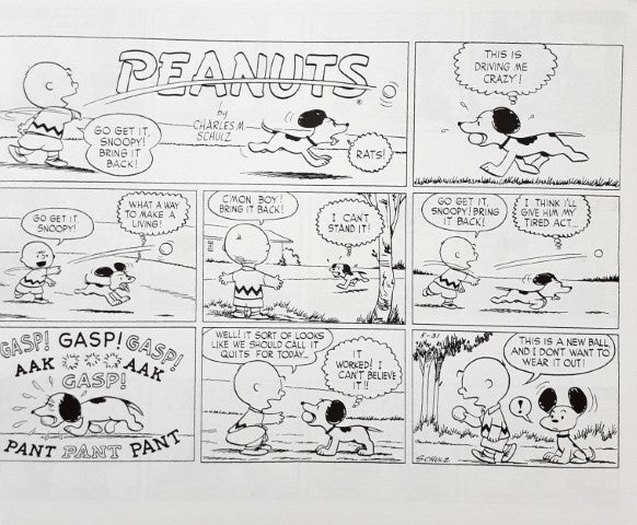 Peanuts Comic Collection If Everybody Agreed With Me They'd All Be Right