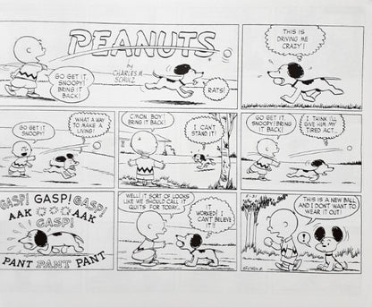 Peanuts Comic Collection If Everybody Agreed With Me They'd All Be Right