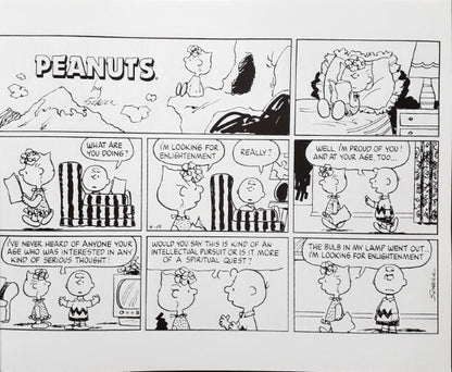 Peanuts Comic Collection I'm In Love It's The Beginning Of Another Tragic Romance