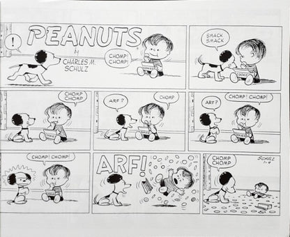 Peanuts Comic Collection This Is My Disarming Smile