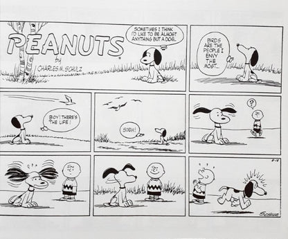 Peanuts Comic Collection Trouble Seems To Follow Me Everywhere