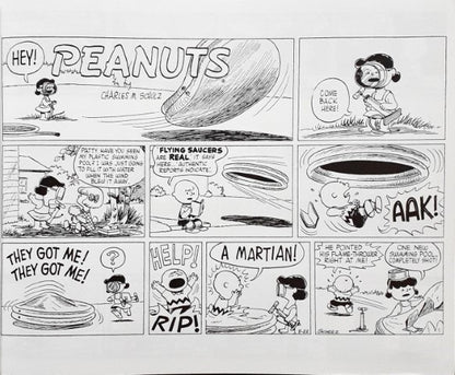 Peanuts Comic Collection You Don't Like Me Do You