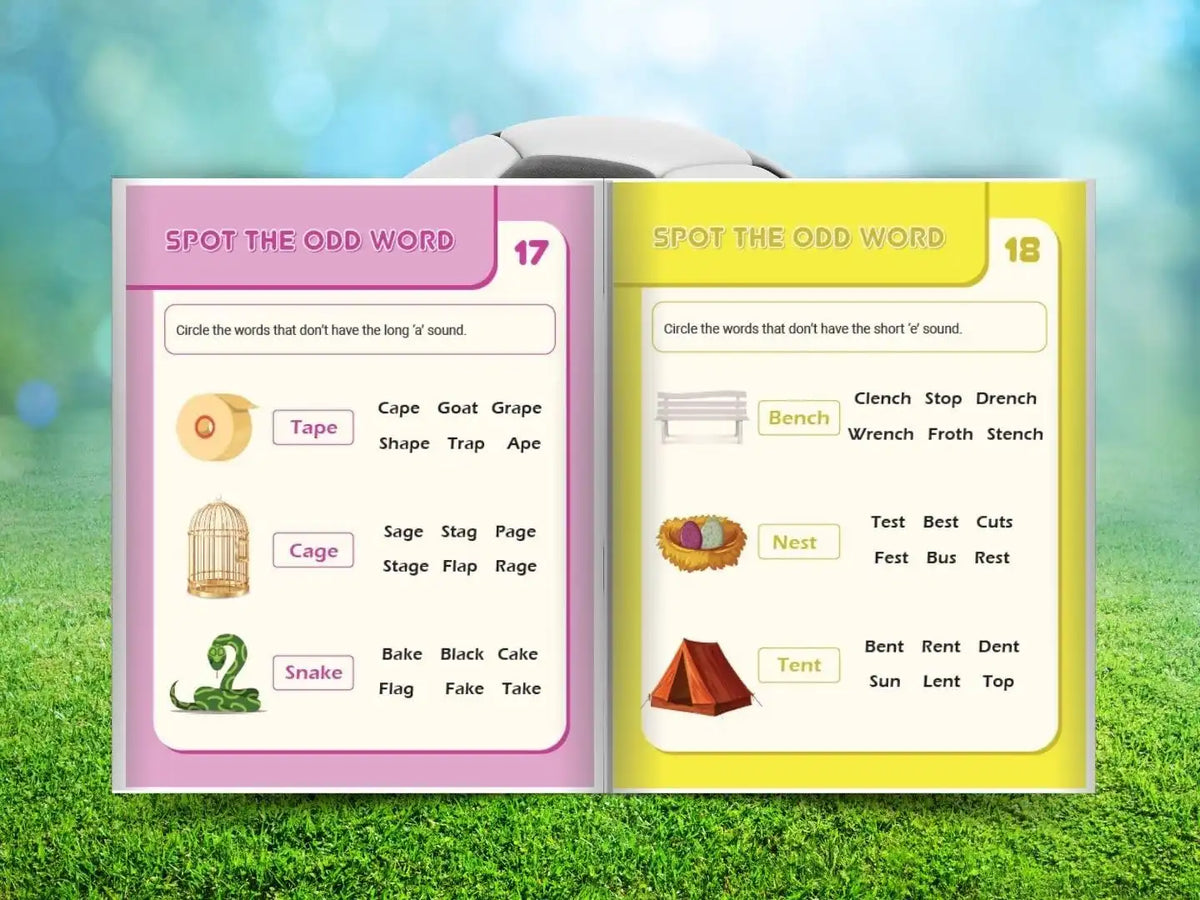 Phonics Fun! Long & Short Vowels