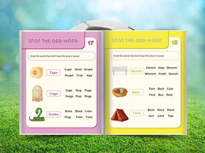 Phonics Fun! Long & Short Vowels