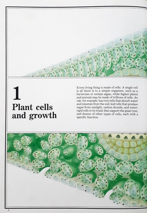 Time Life's Illustrated World of Science Plant Life