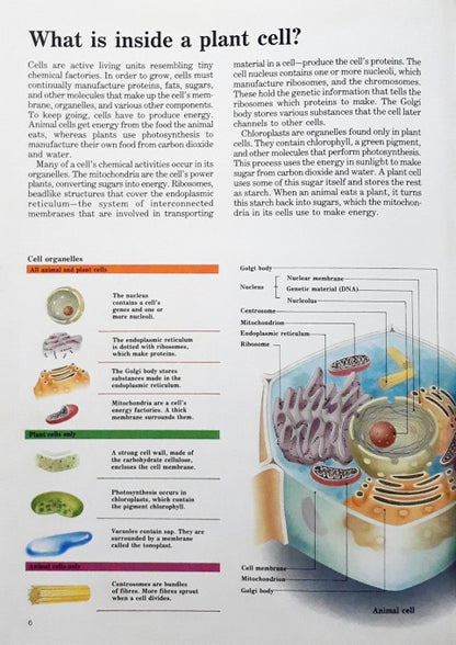 Time Life's Illustrated World of Science Plant Life