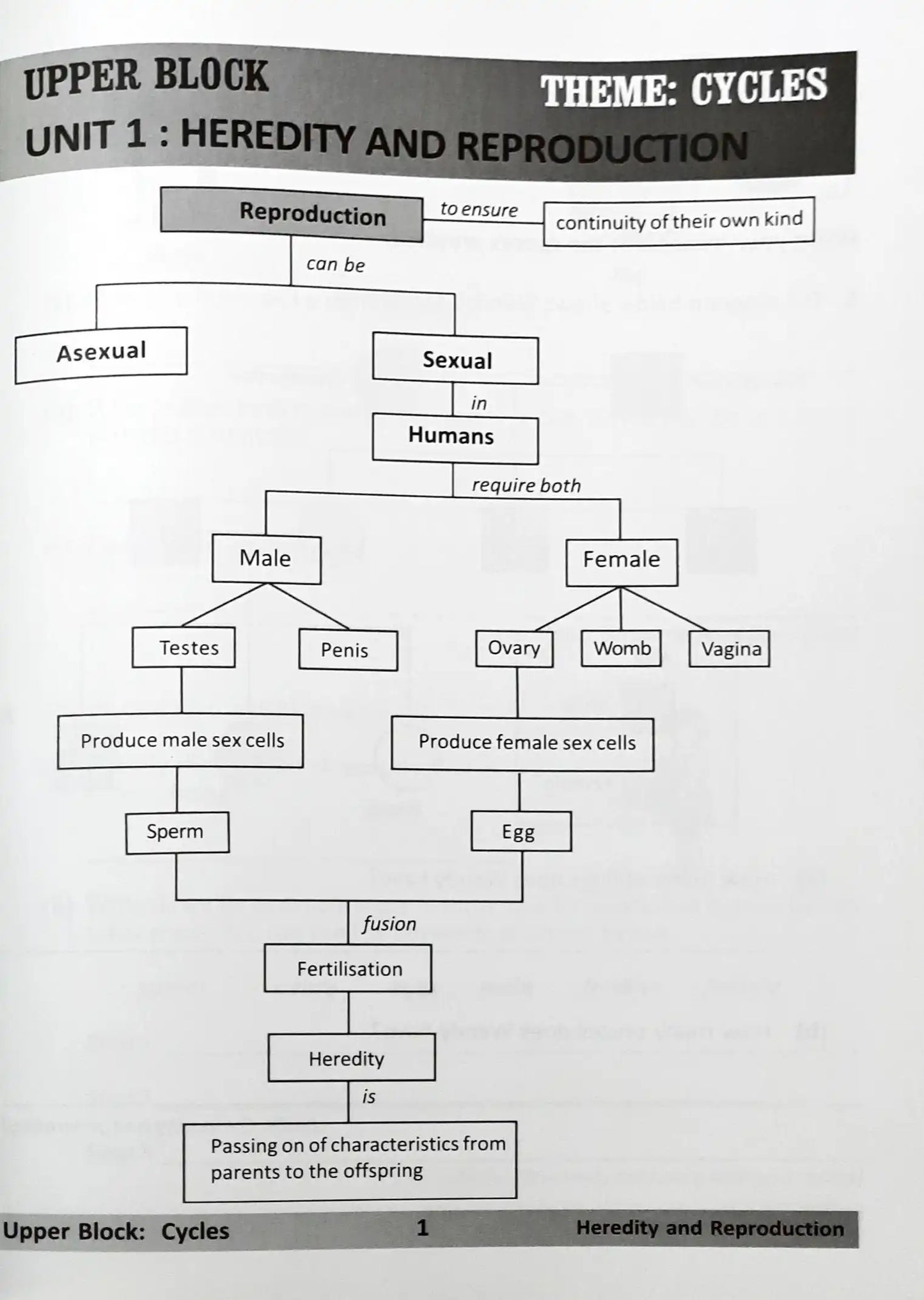 SAP PSLE Science: Process Skills and Applications: Topic by Topic