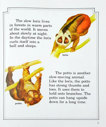 Read About Monkeys And Apes (HC) (P)