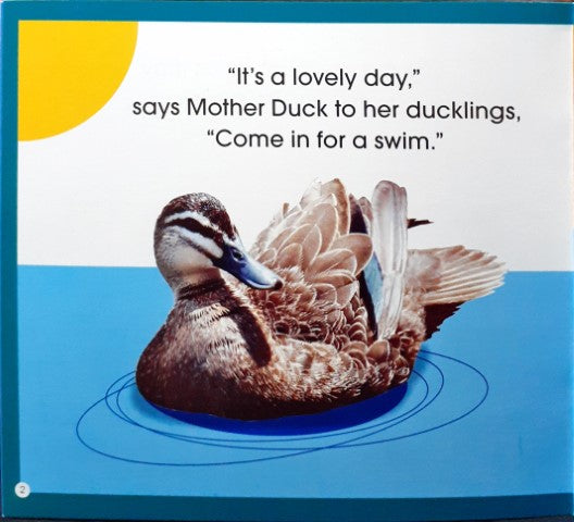 Read Along Stories Mother Duck's Family