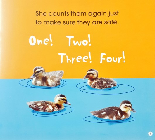 Read Along Stories Mother Duck's Family