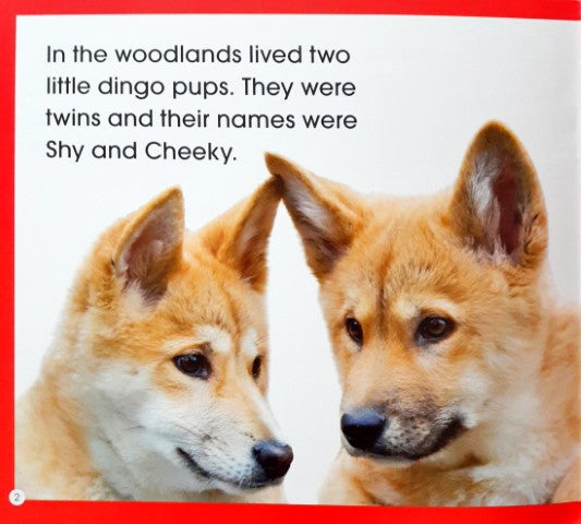 Read Along Stories The Dingo Twins' Surprise