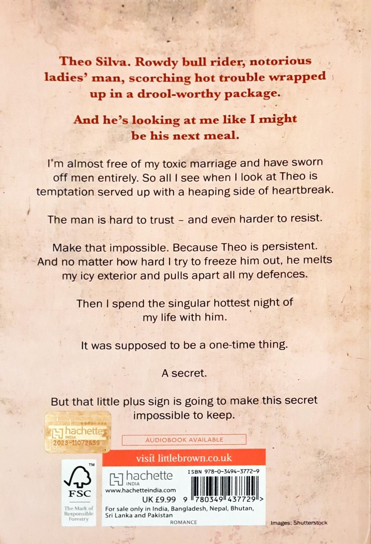 Chestnut Springs #4 : Reckless