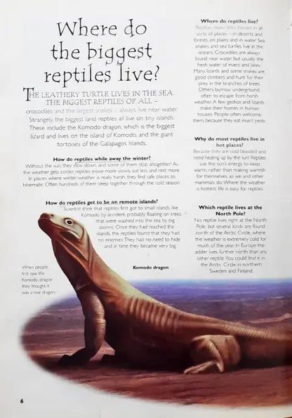 Questions And Answers Reptiles