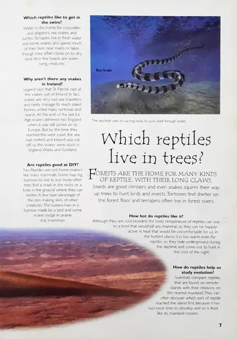 Questions And Answers Reptiles