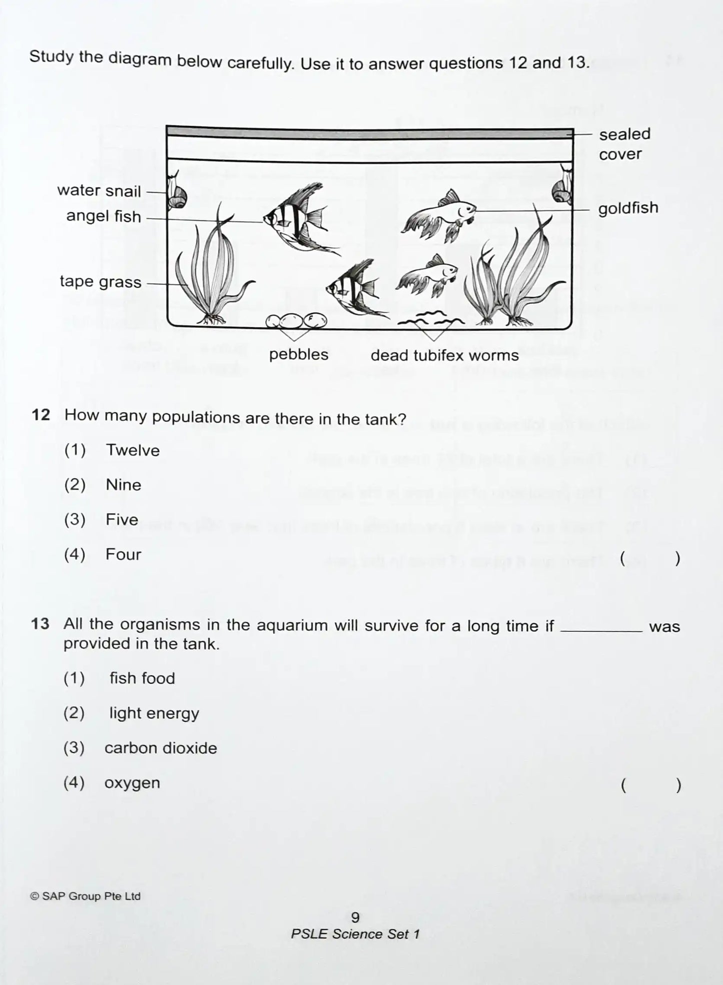 SAP Right Before The Exam - PSLE SCIENCE