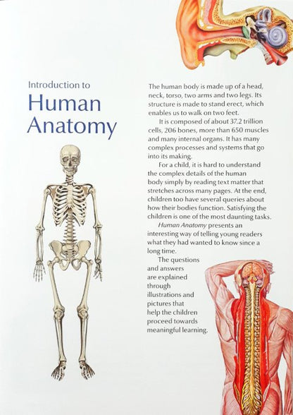 200 Questions and Answers Human Anatomy